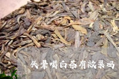 头晕喝白茶有效果吗/2023121855261