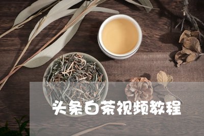 头条白茶视频教程/2023061706150