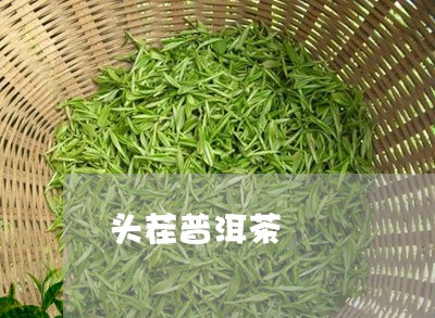 头茬普洱茶/2023081881714