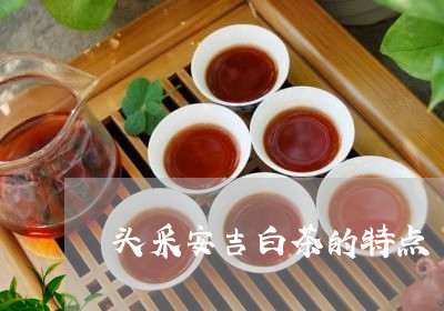 头采安吉白茶的特点/2023081451593