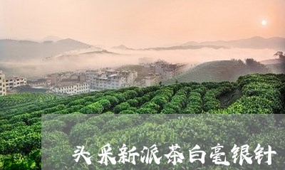 头采新派茶白毫银针/2023091437271