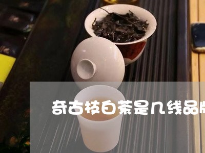 奇古枝白茶是几线品牌/2023092875060