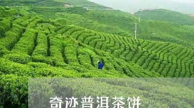 奇迹普洱茶饼/2023102594615