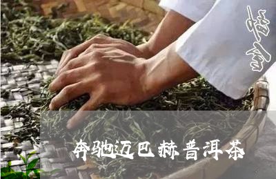 奔驰迈巴赫普洱茶/2023091438586