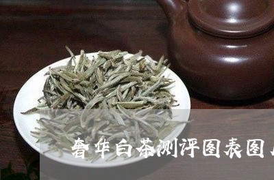 奢华白茶测评图表图片/2023092874930