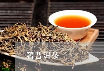 奢普洱茶/2023090193825