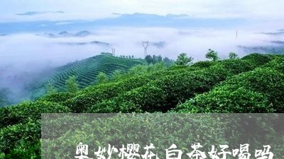 奥妙樱花白茶好喝吗/2023101623626