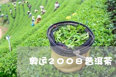 奥运2008普洱茶/2023091460704