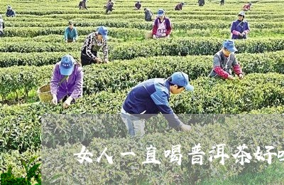 女人一直喝普洱茶好吗/2023092868573