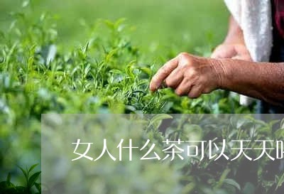 女人什么茶可以天天喝/2023071490817