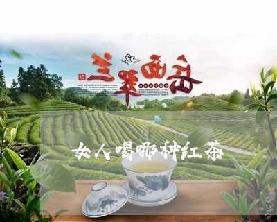 女人喝哪种红茶/2023042960161