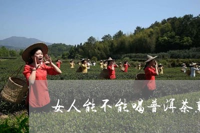 女人能不能喝普洱茶熟茶/2023103183136