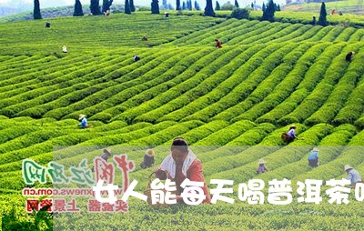 女人能每天喝普洱茶吗好吗/2023112588360