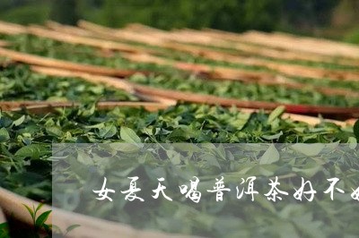 女夏天喝普洱茶好不好/2023092955374