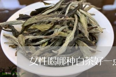 女性喝哪种白茶好一点呢/2023101612905