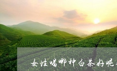 女性喝哪种白茶好呢养颜/2023101670715