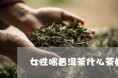 女性喝普洱茶什么茶好/2023080316158