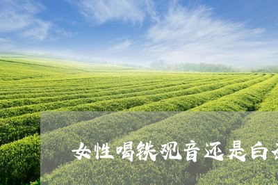 女性喝铁观音还是白茶好/2023101621602