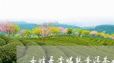 女性夏季喝熟普洱茶好吗/2023110570836