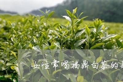 女性常喝福鼎白茶的好处/2023092195158