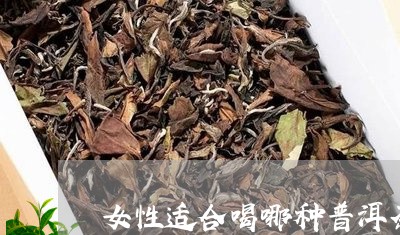 女性适合喝哪种普洱茶/2023100628685