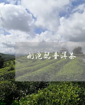 奶泡配普洱茶/2023102504170