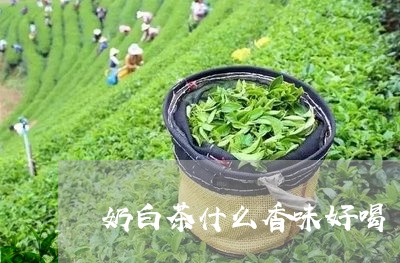 奶白茶什么香味好喝/2023121874957