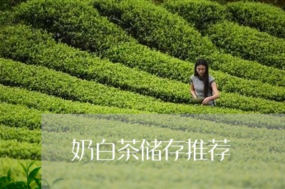 奶白茶储存推荐/2023071670806