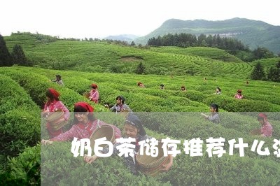 奶白茶储存推荐什么温度/2023101654025