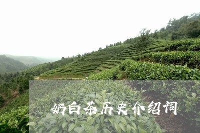 奶白茶历史介绍词/2023061728161