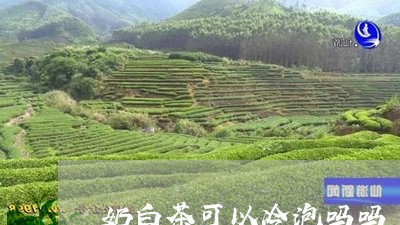 奶白茶可以冷泡吗吗/2023071663818