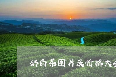 奶白茶图片及价格大全/2023080182715