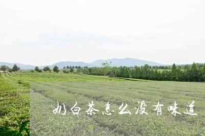 奶白茶怎么没有味道/2023071600584