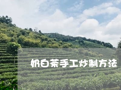 奶白茶手工炒制方法/2023081486351