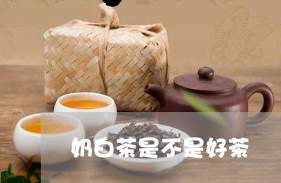 奶白茶是不是好茶/2023061703748