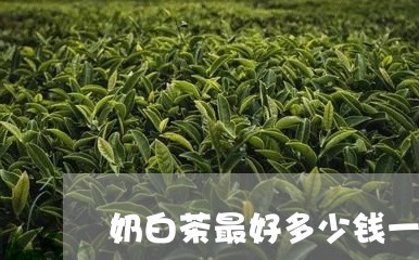 奶白茶最好多少钱一斤/2023092995839