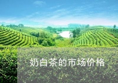 奶白茶的市场价格/2023061721715