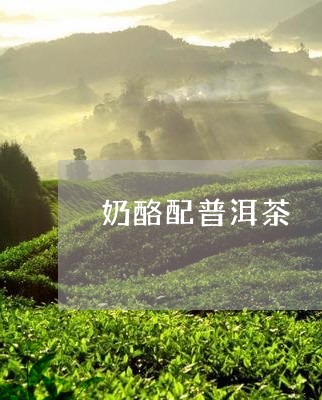 奶酪配普洱茶/2023042859526