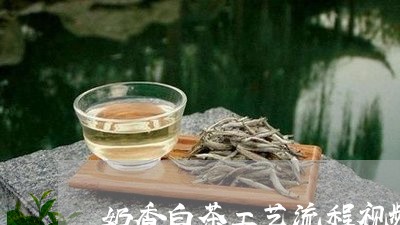 奶香白茶工艺流程视频/2023092918581