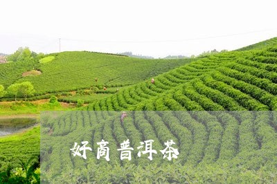 奸商普洱茶/2023090660374