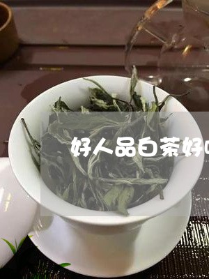 好人品白茶好喝吗/2023061750583