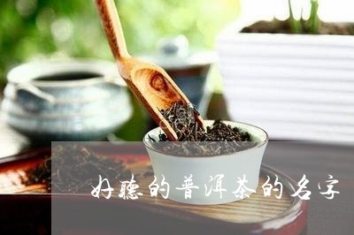 好听的普洱茶的名字/2023120511836