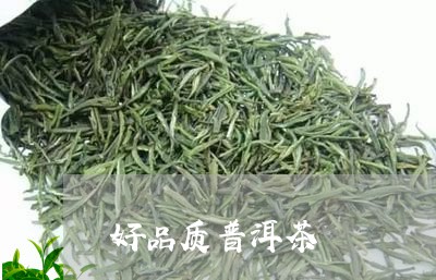 好品质普洱茶/2023042608282