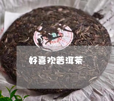 好喜欢普洱茶/2023042684453