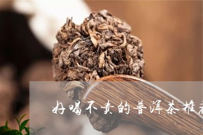 好喝不贵的普洱茶推荐/2023080223824