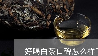 好喝白茶口碑怎么样了/2023092985058