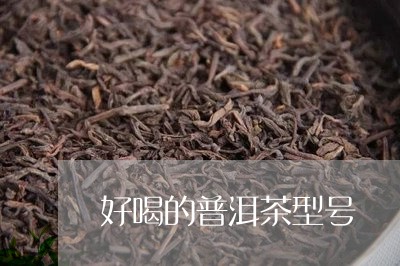 好喝的普洱茶型号/2023081648179