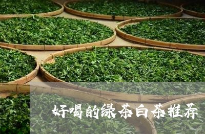 好喝的绿茶白茶推荐/2023071661493