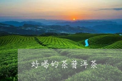 好喝的茶普洱茶/2023102633928