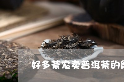 好多茶农卖普洱茶的能买吗/2023112827048